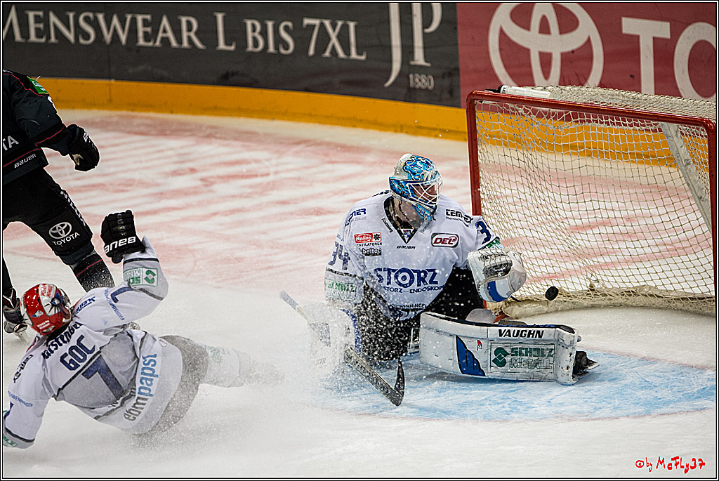 Koelner Haie - Schwenninger Wild Wings, 11.12.2016